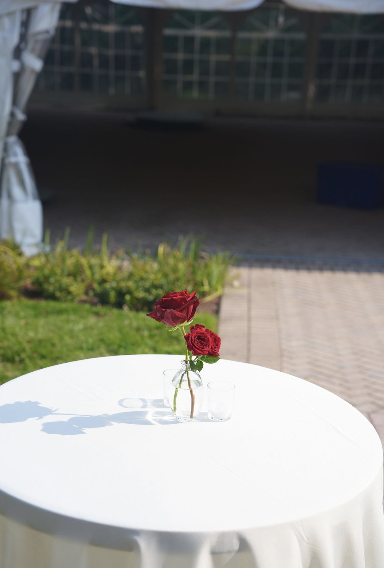 Two red roses in a glass bud vase on a white cocktail table in afternoon sun, garden and tent beyond.